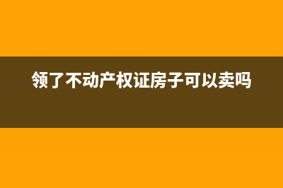 不动产证领了后领证的发票丢了该怎么办？ (领了不动产权证房子可以卖吗)
