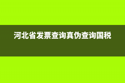 河北省发票查询系统官方网站 (河北省发票查询真伪查询国税)