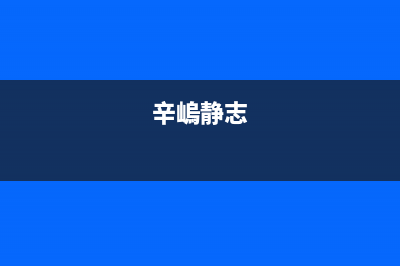 zealer辛静资料？ (辛嵨静志)