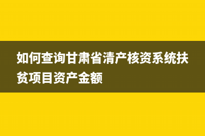 如何查询甘肃省国税发票真伪查询？ (如何查询甘肃省清产核资系统扶贫项目资产金额)
