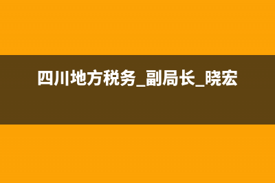 四川地方税务(四川地方税务局网上办税服务大厅) (四川地方税务 副局长 晓宏)