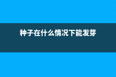 什么条件的种子企业有税收优惠政策？ (种子在什么情况下能发芽)