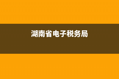 湖南省电子税务初始密码(国家税务总局湖南省电子税务局怎么登录) (湖南省电子税务局)
