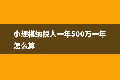 小规模纳税人一年没有申报怎样处罚？ (小规模纳税人一年500万一年怎么算)