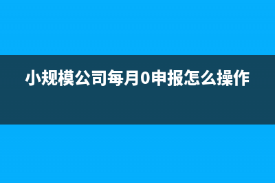 小规模公司每月需要申报什么？ (小规模公司每月0申报怎么操作)