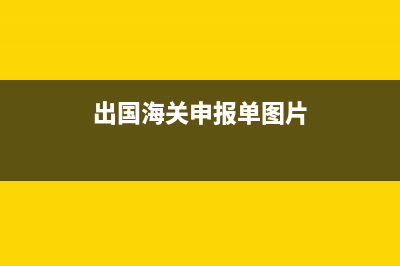 出国海关申报单怎么填写？ (出国海关申报单图片)