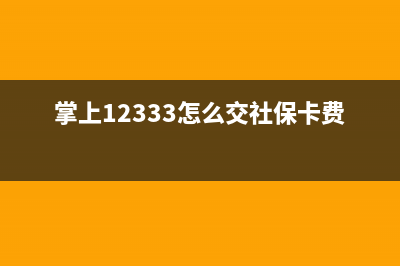 掌上12333怎么交社保？ (掌上12333怎么交社保卡费用)