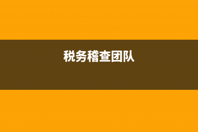 税务稽查合作(税务稽查业务) (税务稽查团队)