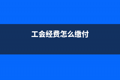 工会经费怎么缴纳税务？ (工会经费怎么缴付)