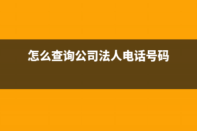 怎么查询公司法人申没申报个人所得税？ (怎么查询公司法人电话号码)
