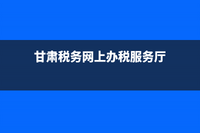 甘肃省地税网络发票开票明细如何打？ (甘肃税务网上办税服务厅)