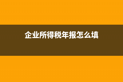 企业所得税年报怎么报呀？ (企业所得税年报怎么填)