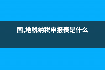 国地税都申报哪些？ (国,地税纳税申报表是什么)