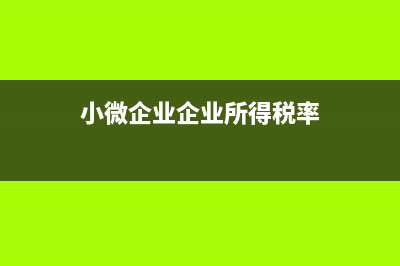 小微企业企业所得税怎么计提分录？ (小微企业企业所得税率)