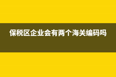保税区企业的会计处理？ (保税区企业会有两个海关编码吗)