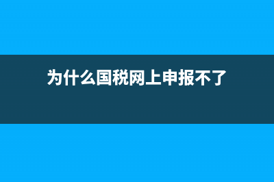 国税申报，为什么打印预览是空白？ (为什么国税网上申报不了)