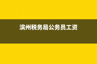 滨州国税局工资待遇(天津市滨海新区税务局公务员待遇) (滨州税务局公务员工资)