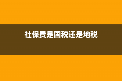 社保属于国税还是地税？ (社保费是国税还是地税)