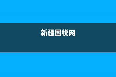 新疆国税惠税无忧下载地址(新疆国税网上办税服务厅) (新疆国税网)