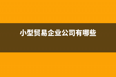 贸易公司(小额纳税人)如何缴纳企业所得税的？ (小型贸易企业公司有哪些)
