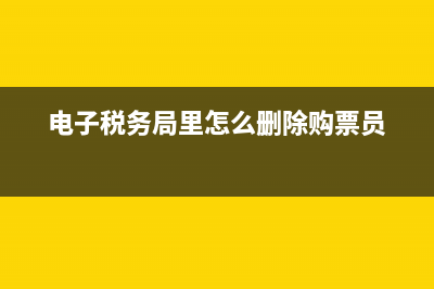 电子税务局里怎么查询交社保人员？ (电子税务局里怎么删除购票员)
