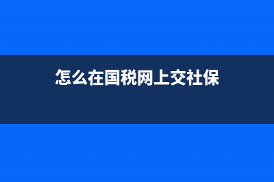 怎么在国税网上打印纳税证明？ (怎么在国税网上交社保)