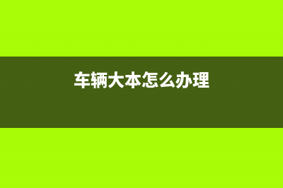 车辆大本如何弄个假的？ (车辆大本怎么办理)