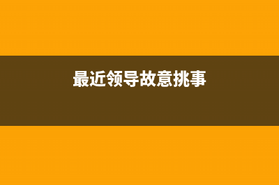 最近领导故意挑我的问题，想让我自动离职，我 (最近领导故意挑事)