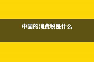 中国的消费税是多少？ (中国的消费税是什么)