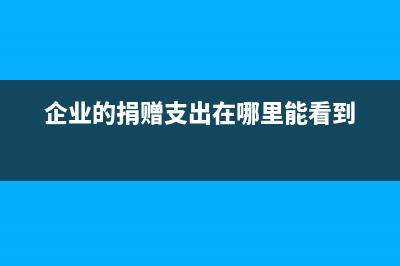 企业的捐赠支出包括哪些内容？ (企业的捐赠支出在哪里能看到)