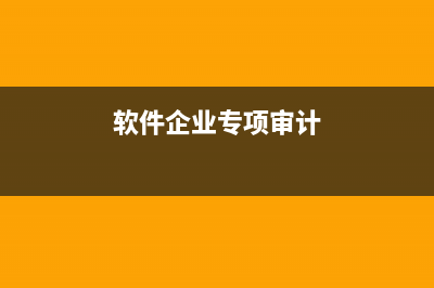 软件企业专项审计内容是什么？ (软件企业专项审计)