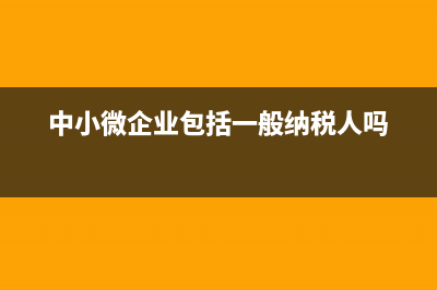 中小微企业包括个体户吗？ (中小微企业包括一般纳税人吗)