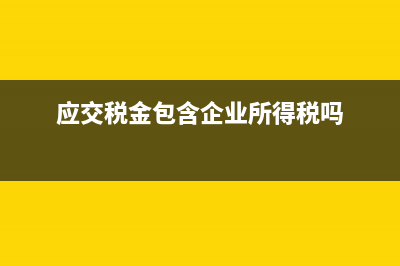 应交税金中的企业所得税出现借方余额怎么调整？ (应交税金包含企业所得税吗)