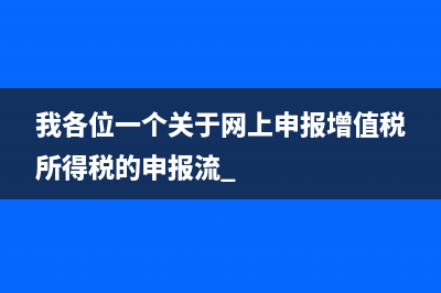 我各位一个关于网上申报增值税所得税的申报流 