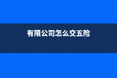 有限公司怎么交纳企业所得税 (有限公司怎么交五险)