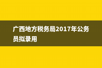 广西地方税务局网上申报(广西国税电子税务局申报) (广西地方税务局2017年公务员拟录用)