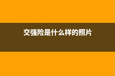 交强险照是啥？ (交强险是什么样的照片)