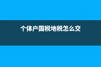 个体户地税怎么交？ (个体户国税地税怎么交)
