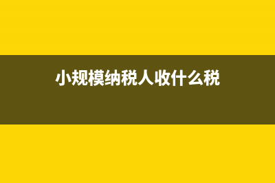 急求：小规模纳税人，网上报税后需要给税务局 (小规模纳税人收什么税)