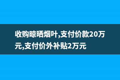 晾晒烟叶征收消费税吗 (收购晾晒烟叶,支付价款20万元,支付价外补贴2万元)