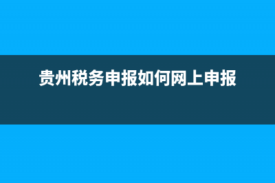 贵州地税网上申报大厅 (贵州税务申报如何网上申报)